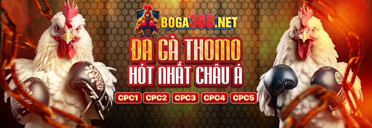 Chương trình VIP ok3686 - Đẳng cấp và độc quyền